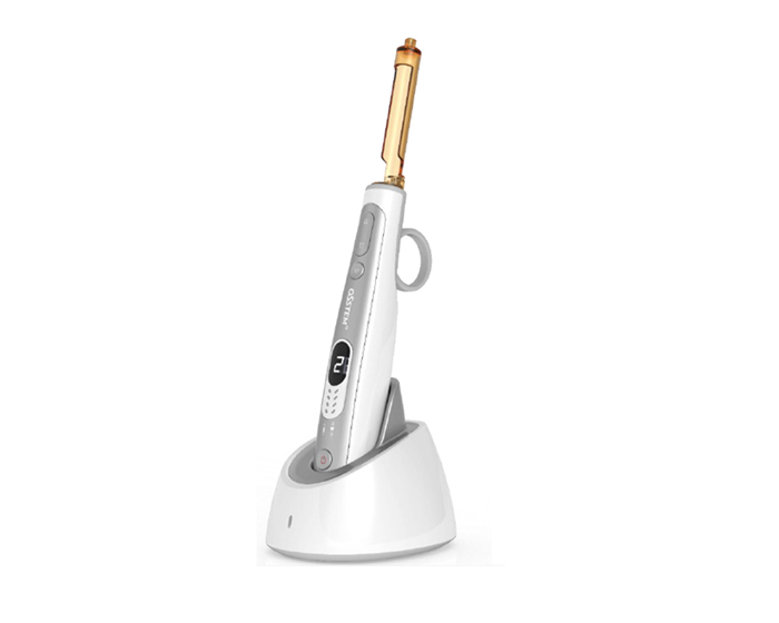 의식하진정요법